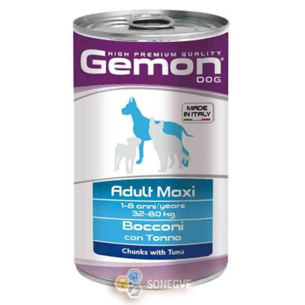 Morceaux de thon GEMON