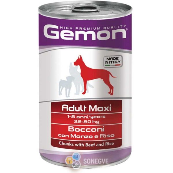 Morceaux de boeuf + riz GEMON